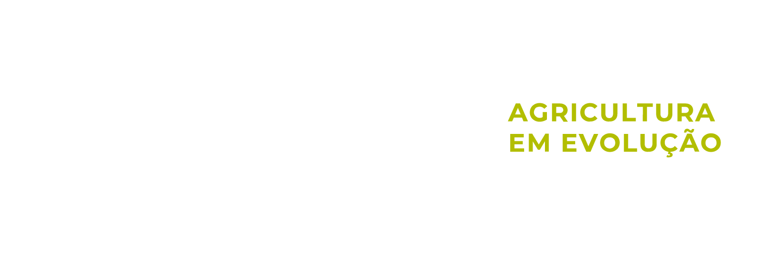 GDM - Grupo de Desenvolvimento do Médio Norte