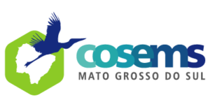 Logo Cosems/MS